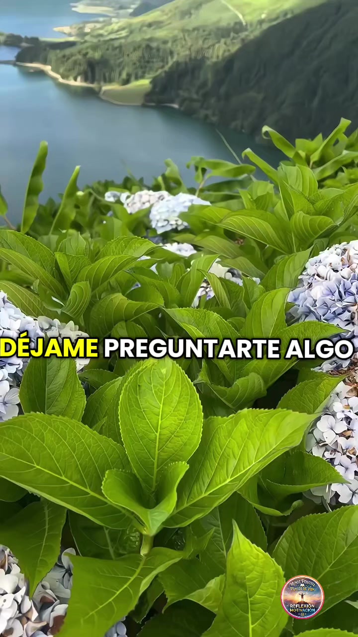 @mente positiva 🧠✨