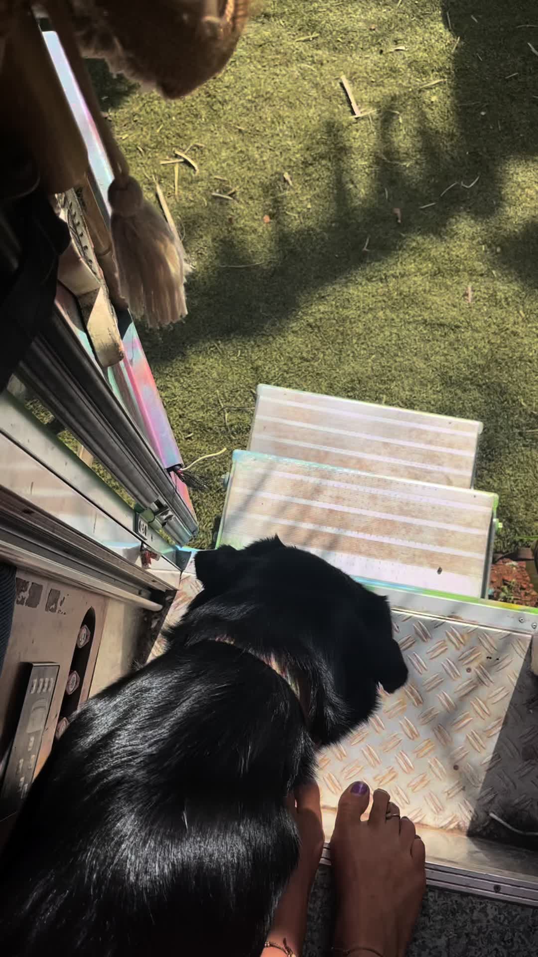 @FincaKunterbunt