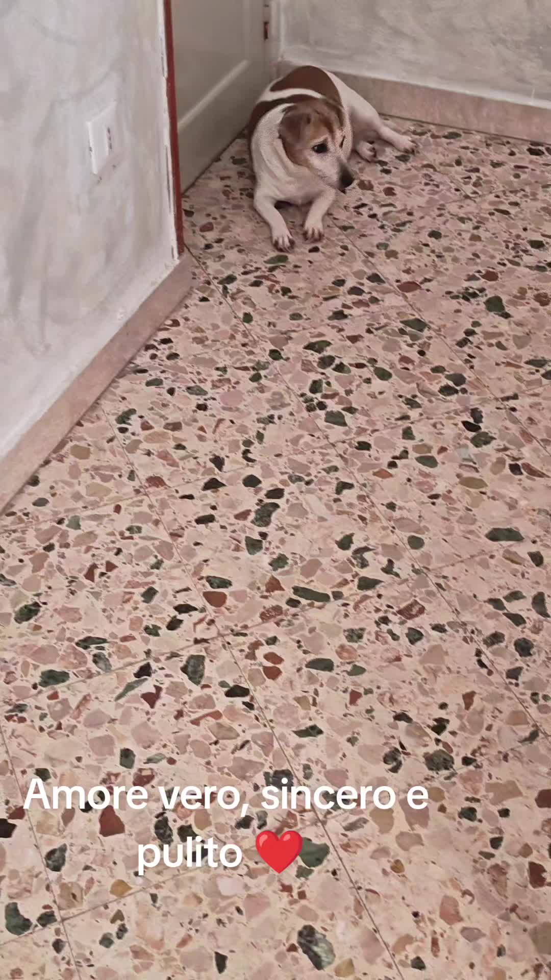@Giusych2