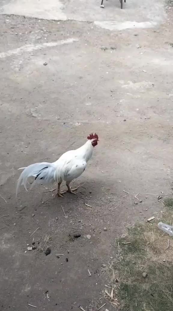 @𝙱𝚊𝚋𝚢 𝙰𝚗𝚐𝚎𝙻 𝚀𝚞𝚎𝚎𝚗