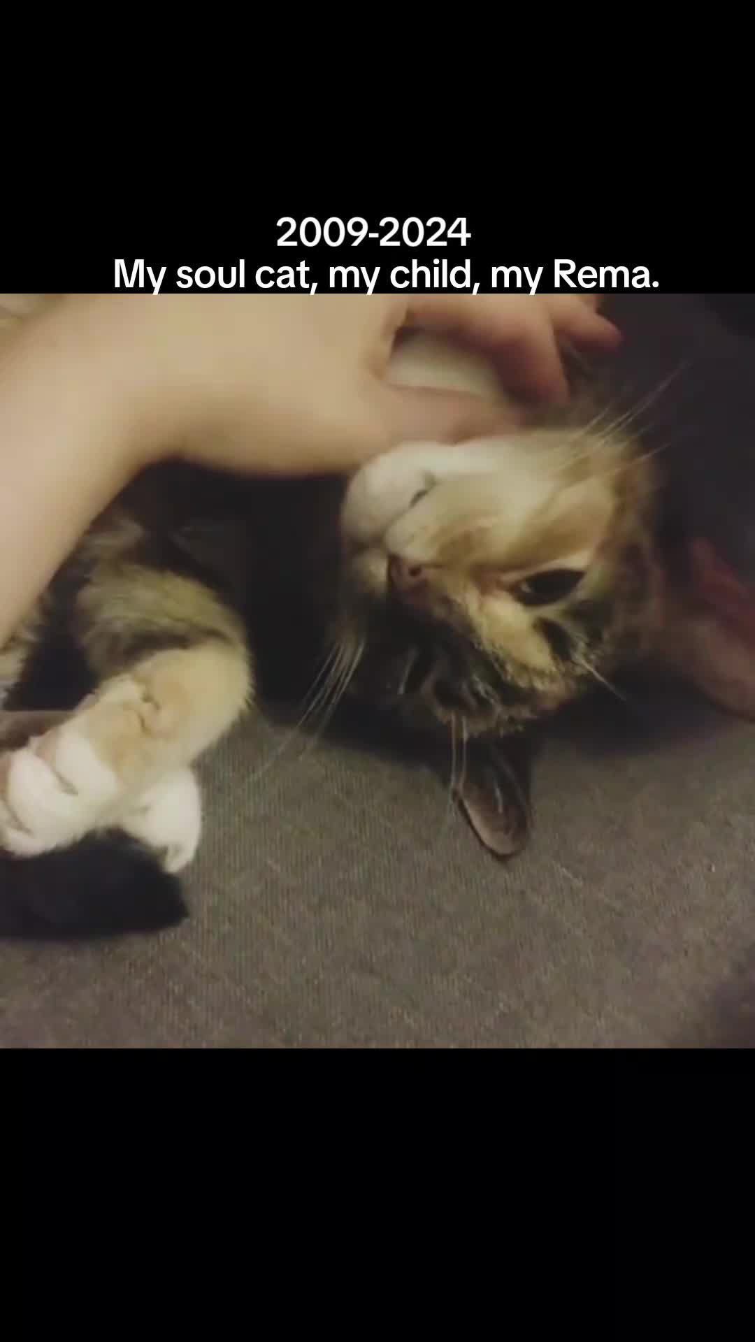 @๐๐งโ๏ธ๐ค