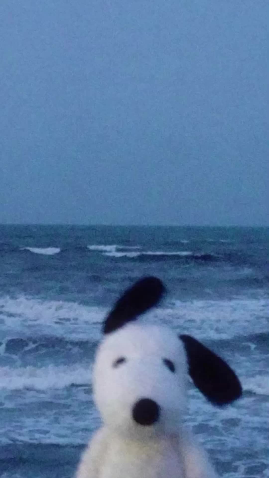 @★