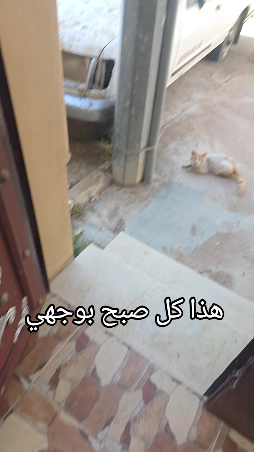 @ابوايوب الشمري