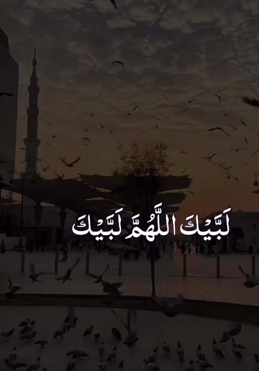 @Gulkhan🫶🏻
