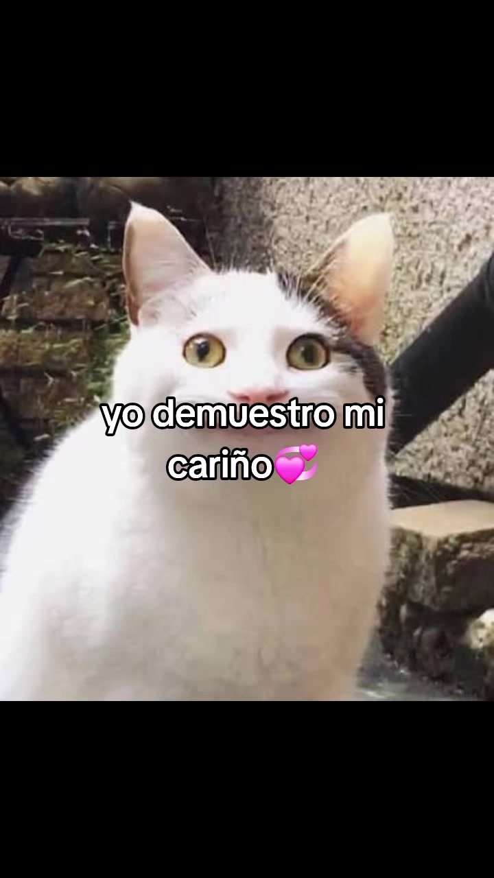 @Flaca