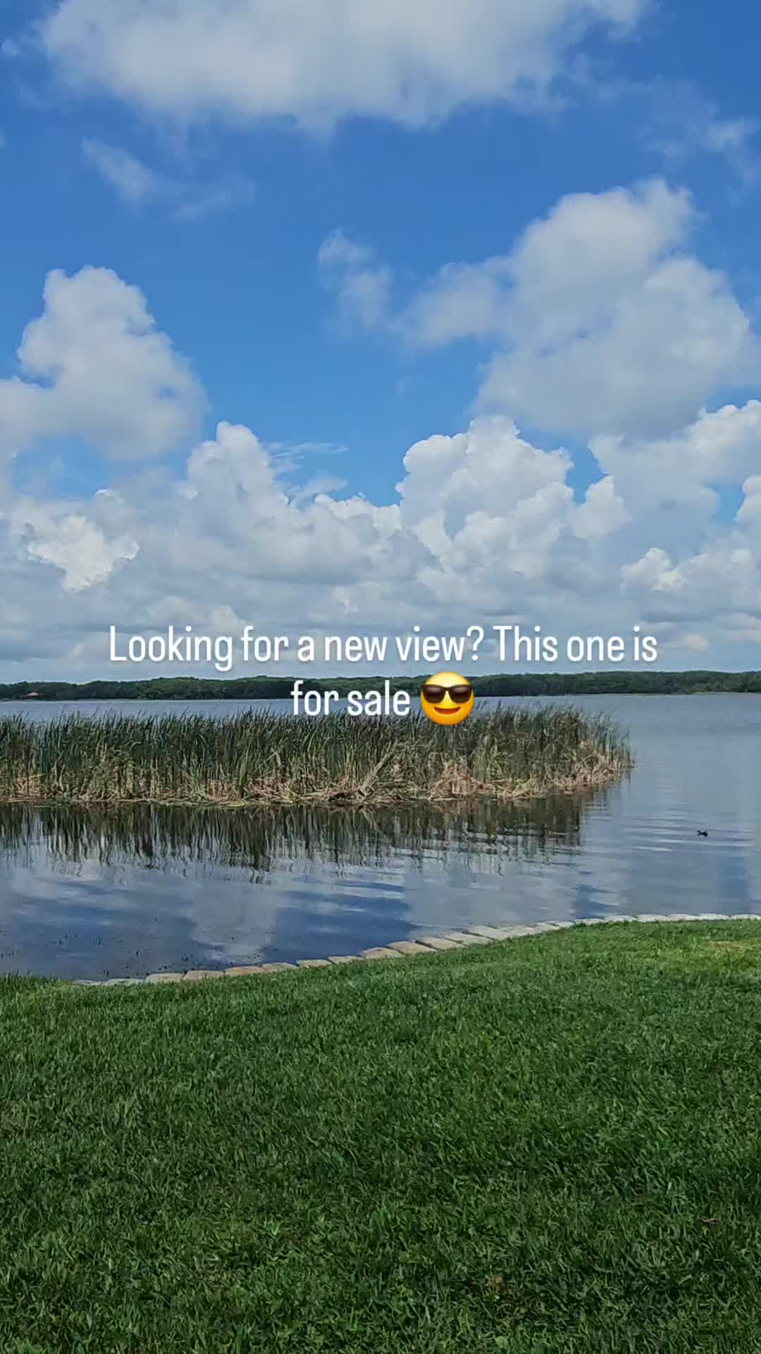 @Shannon |Tampa Realty Expert