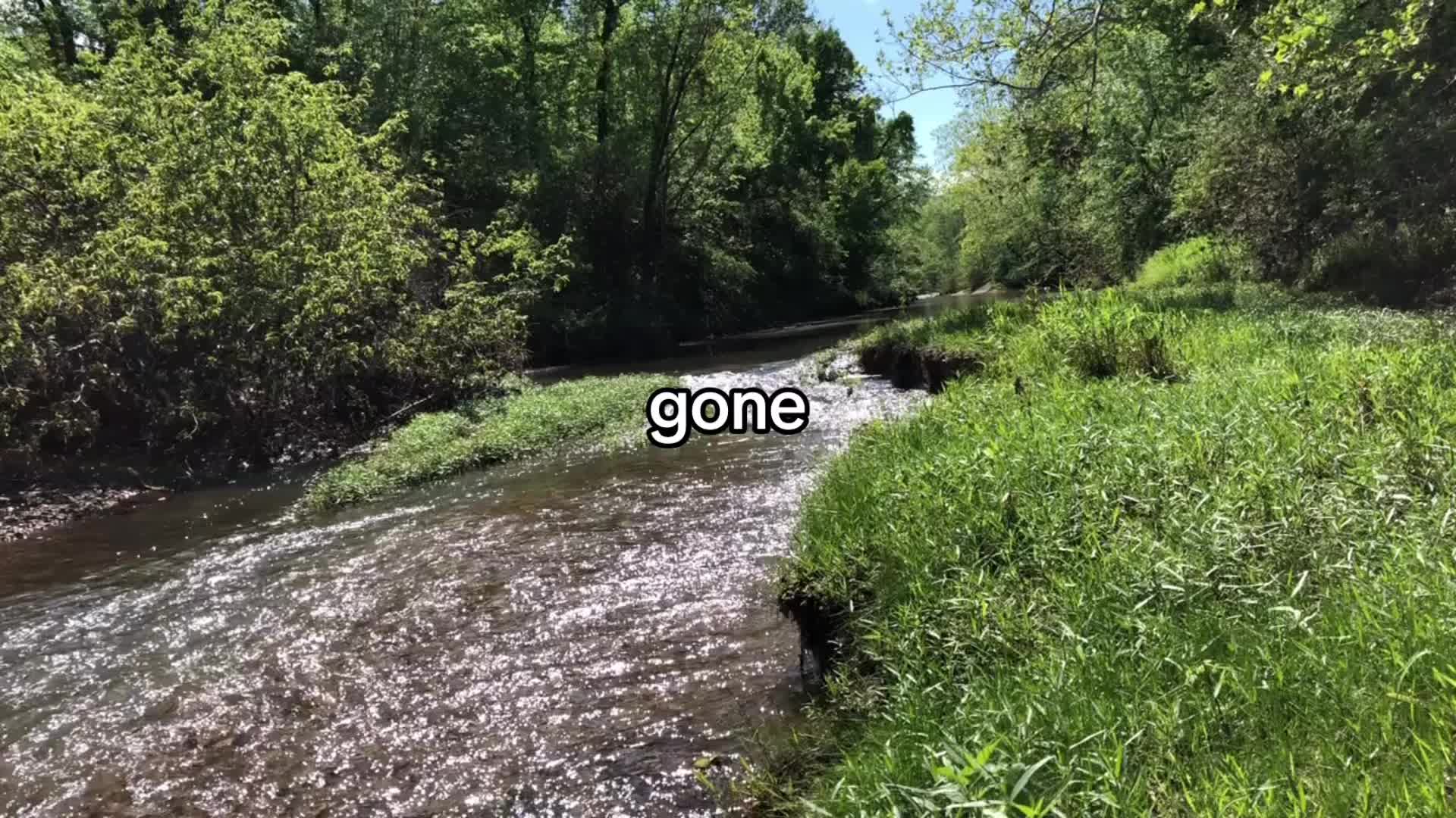 @maplebanjo43