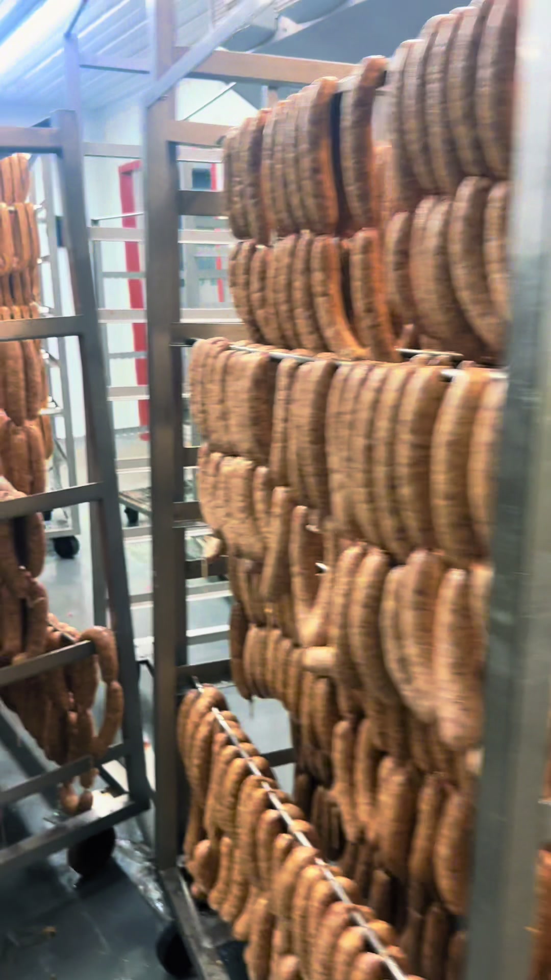 @Bougie Bologna Company