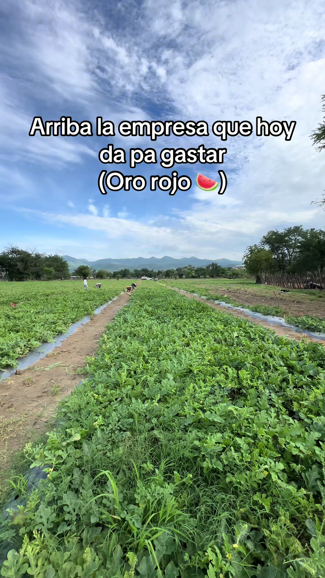 @Adolfo Gonzalez Ruiz