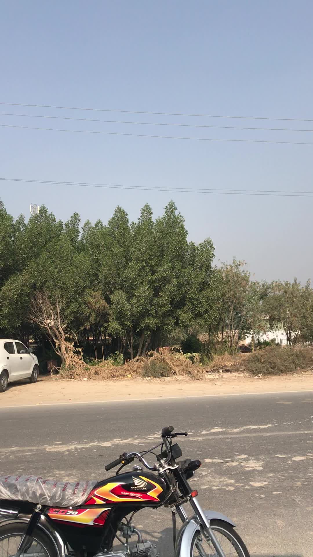 @جام صاحب🦅