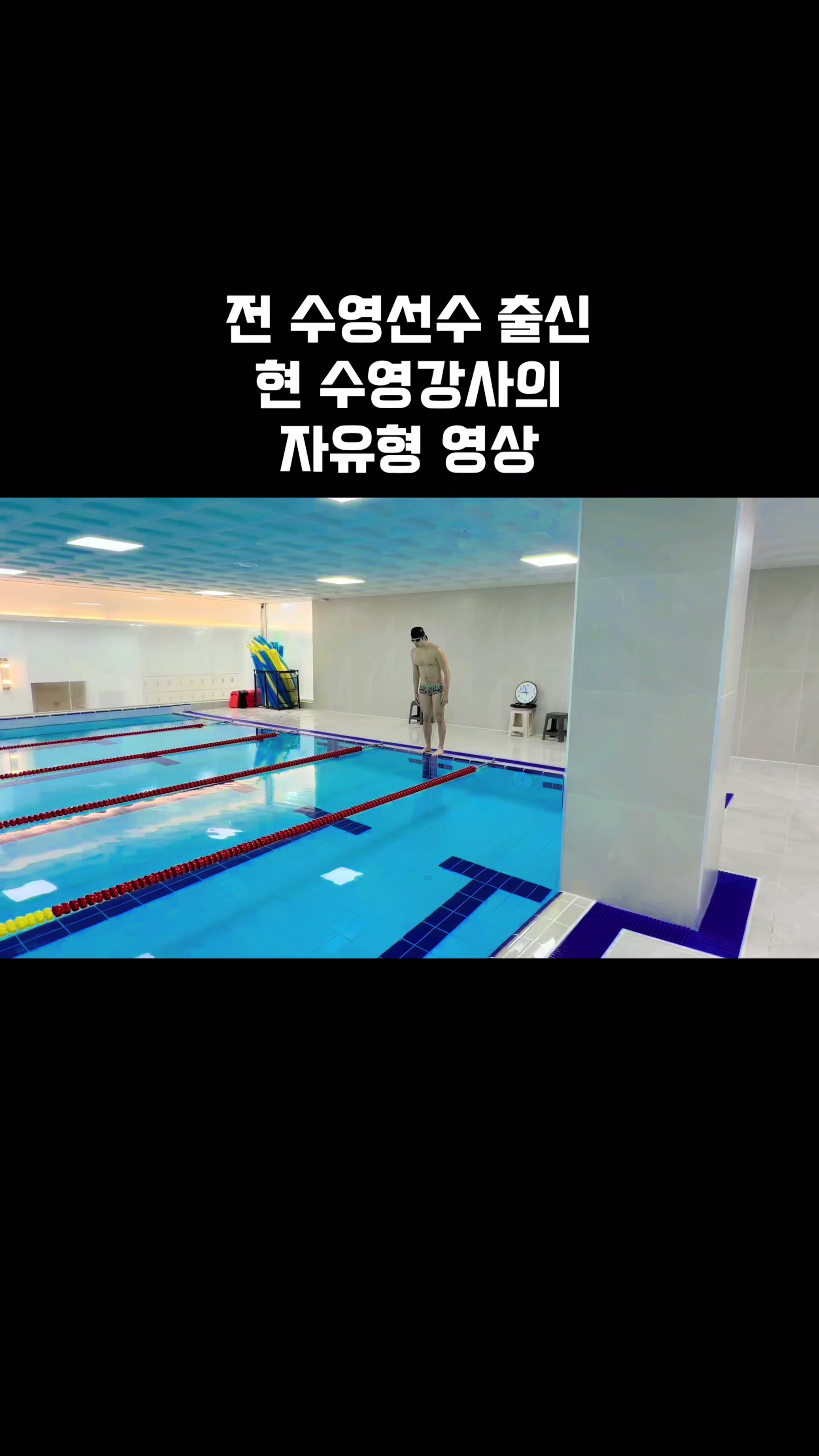 @부산 물개
