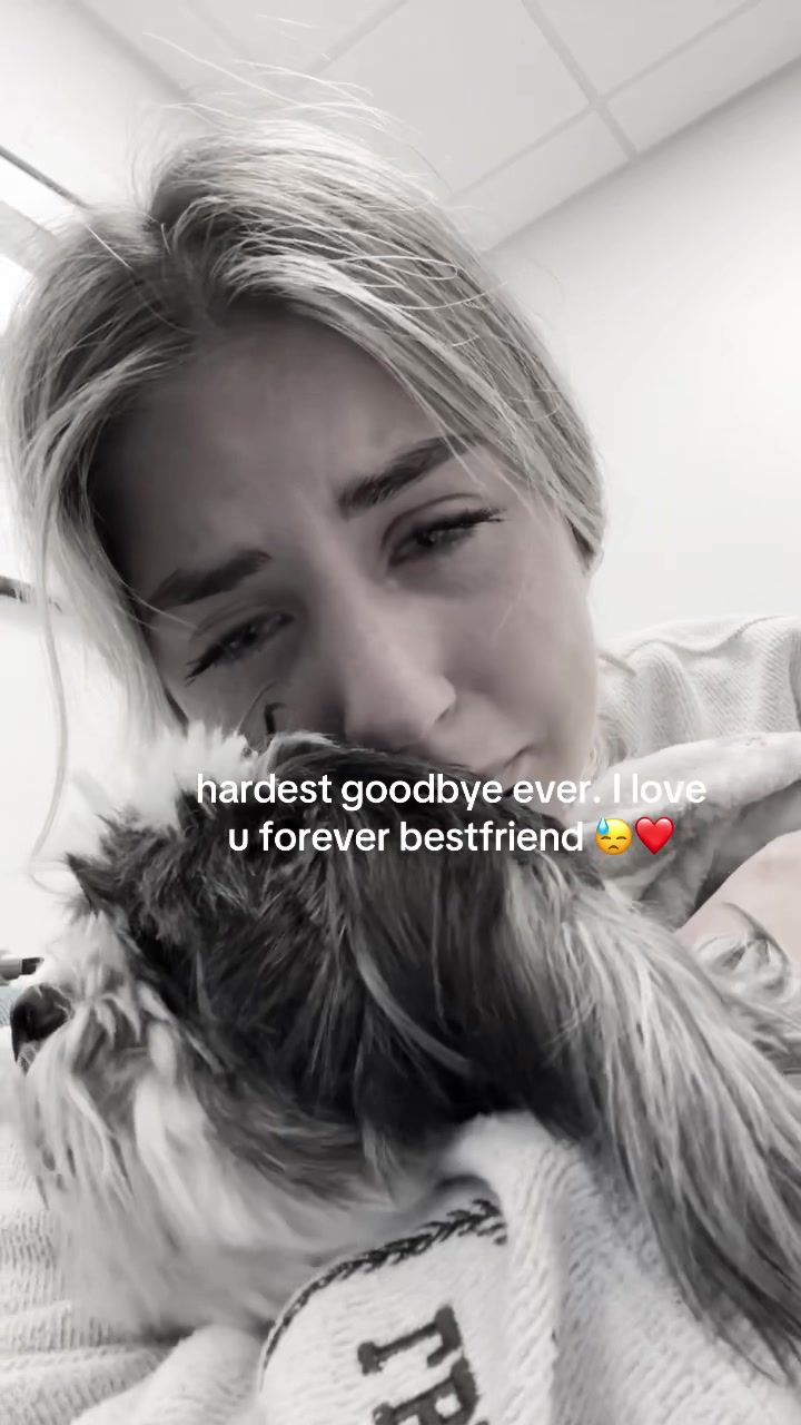 @Alyssaaaaa❤️