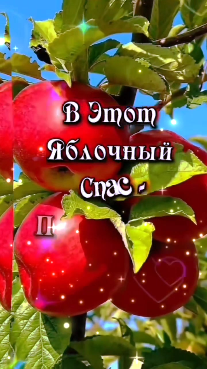 @꧁༺ 𝓝𝓲𝓴𝓪𝓝 ༻꧂