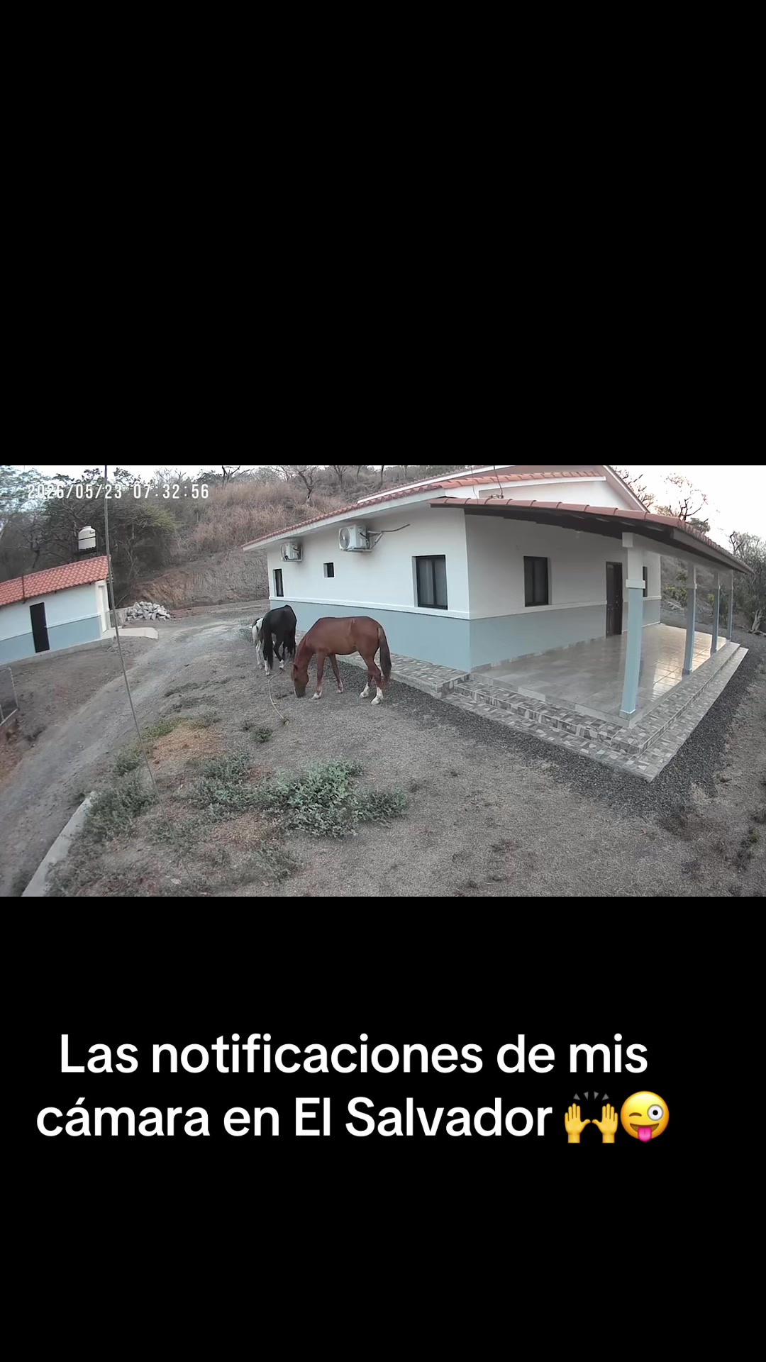@Jose Luis Alvarez