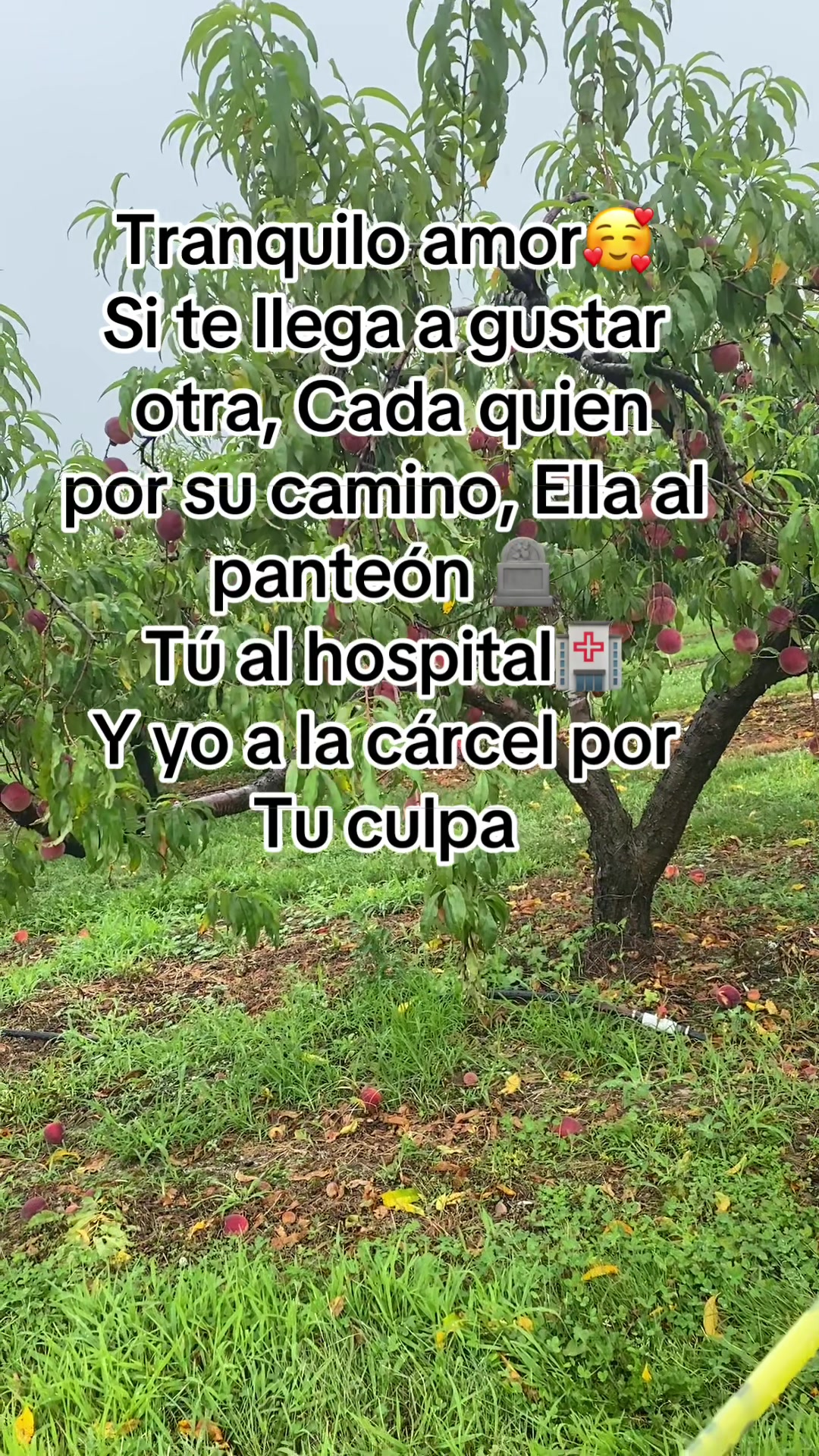 @Rodr&iacute;guez