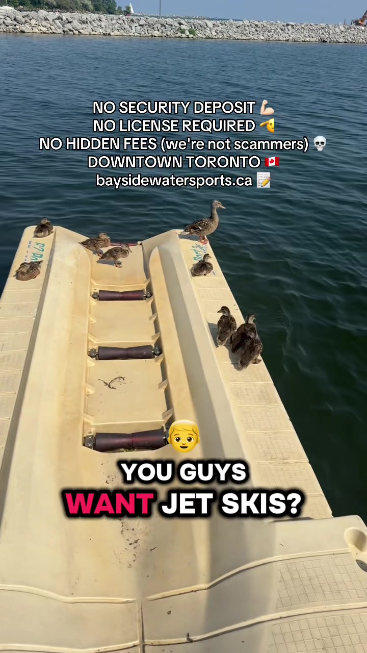 @Bayside watersports