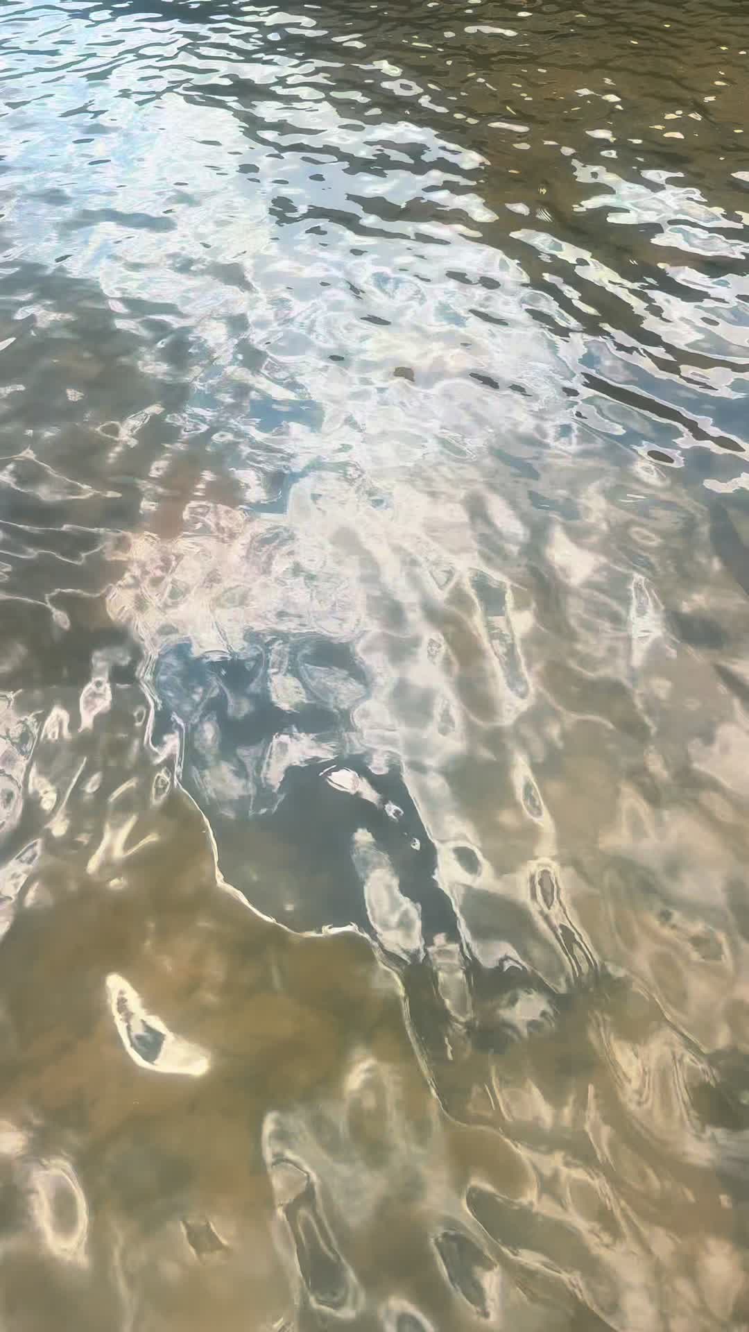 @anusa.p