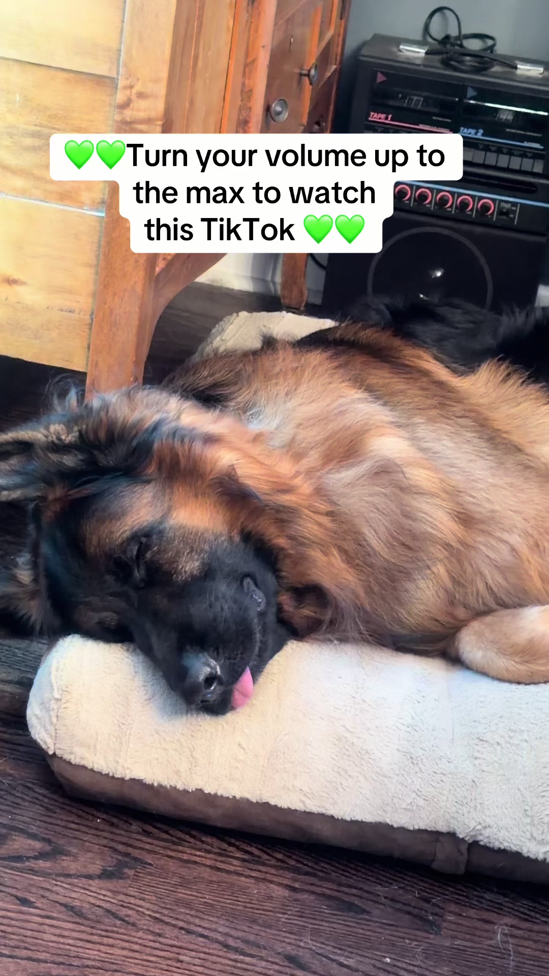 @ksdoggos