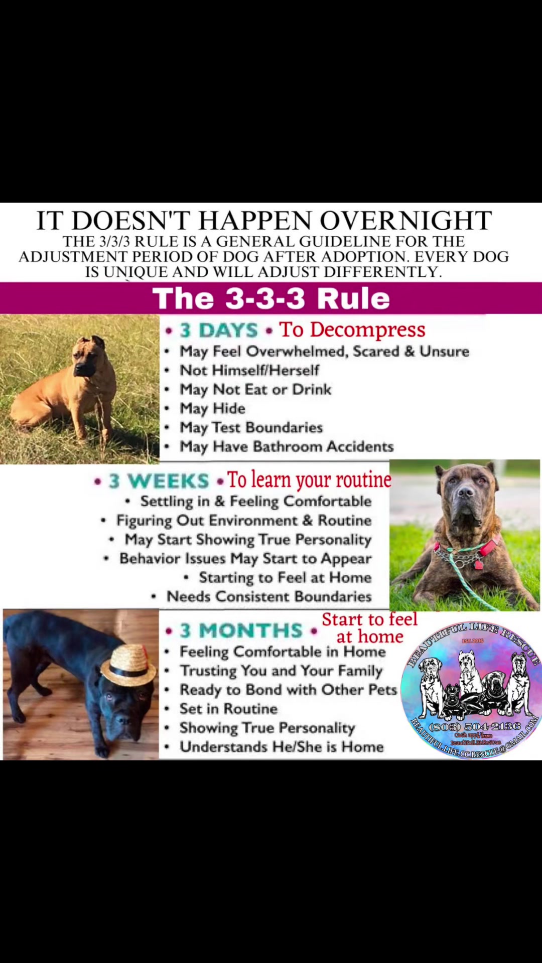 @Beautiful Life CC Rescue