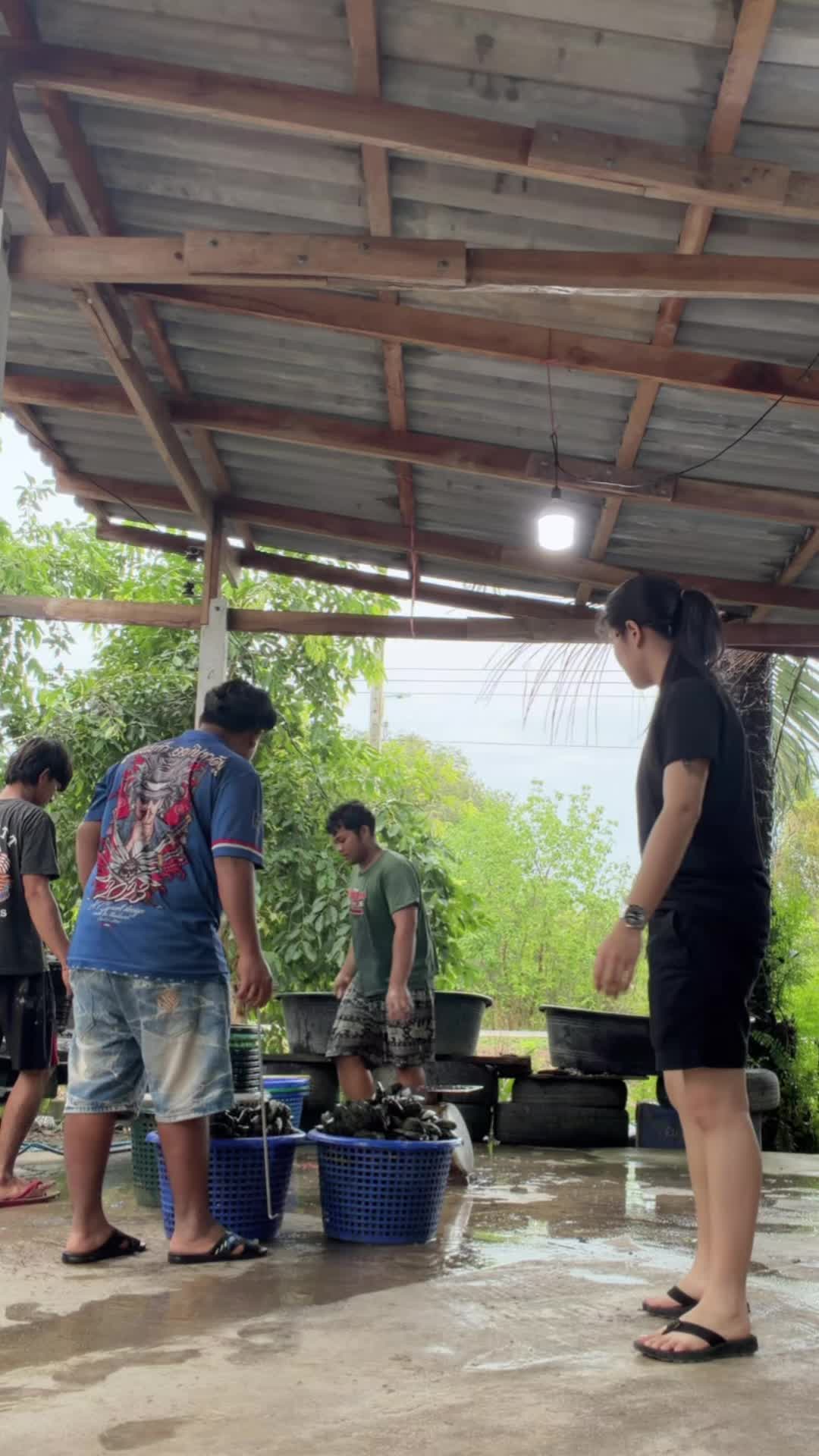 @เฟิร์น กัญญารัตน์