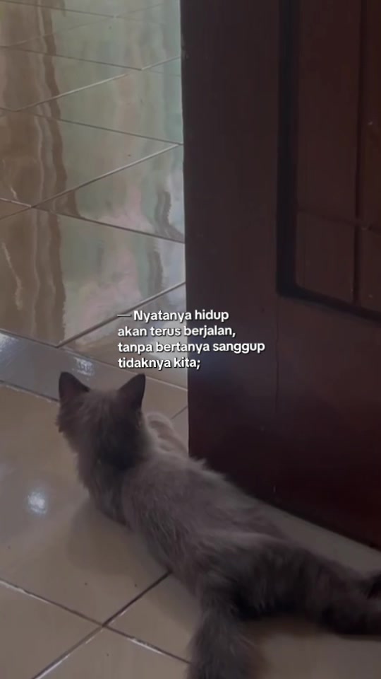 @Momtwin🥰