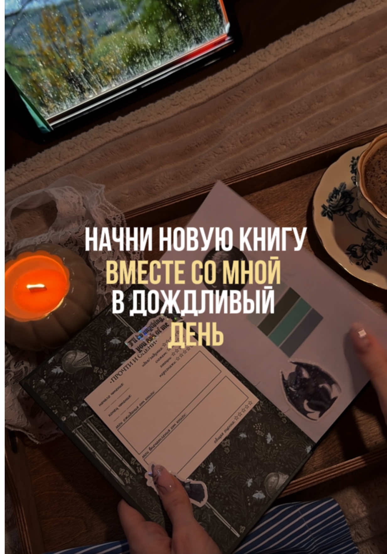 @тгк: Магоманьячка ✧₊∘