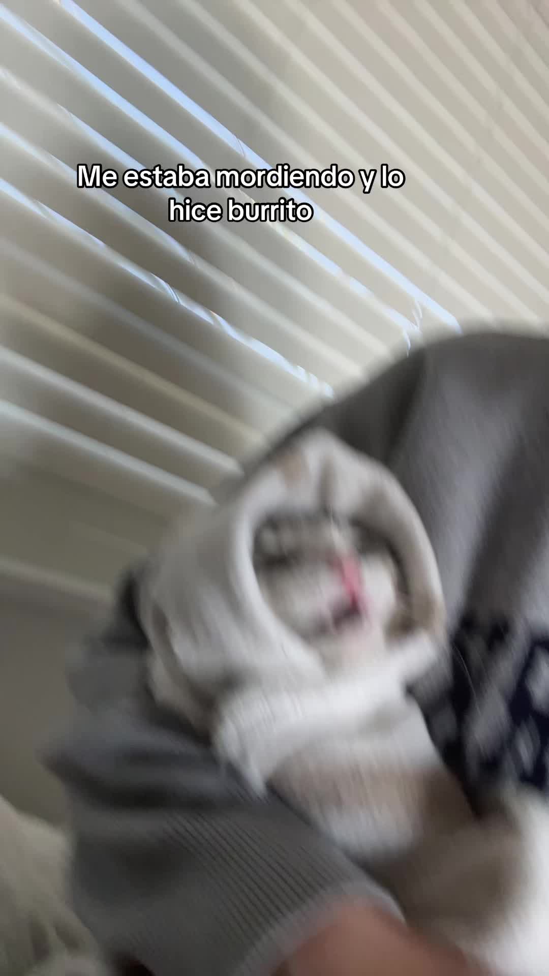 @mandarinaaaa