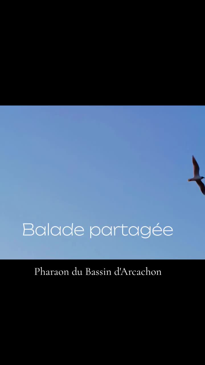 @Pharaon