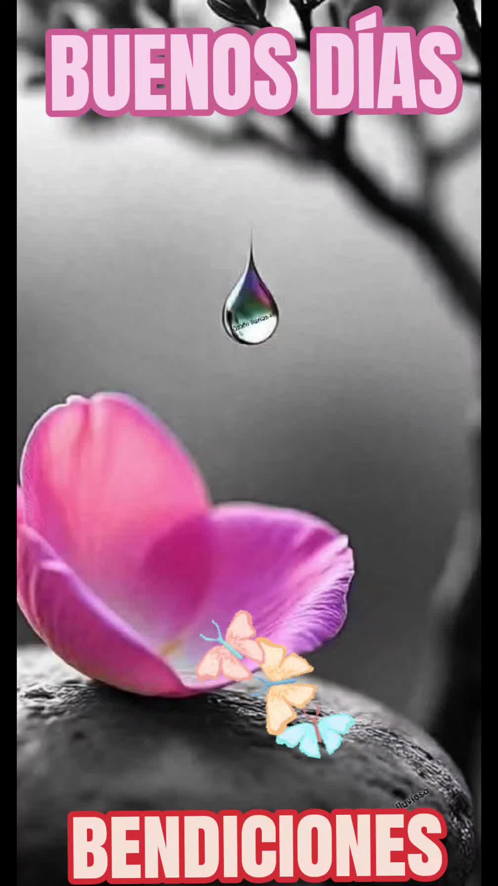 @Zulema888liliana777