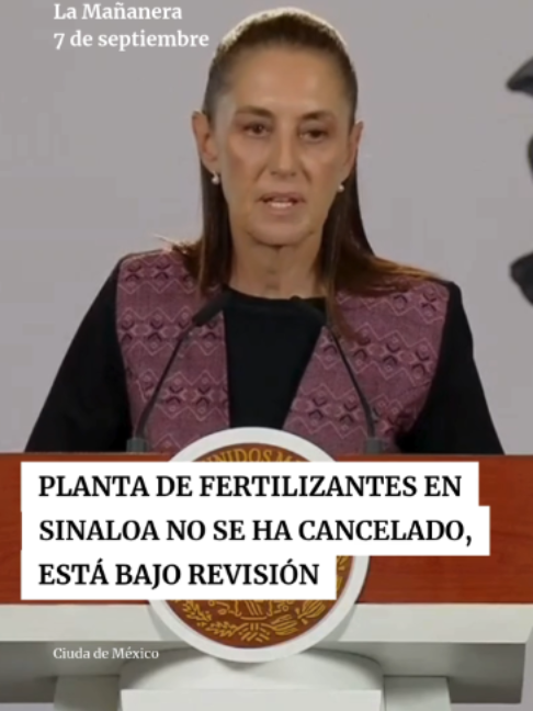 @Periódico Excélsior