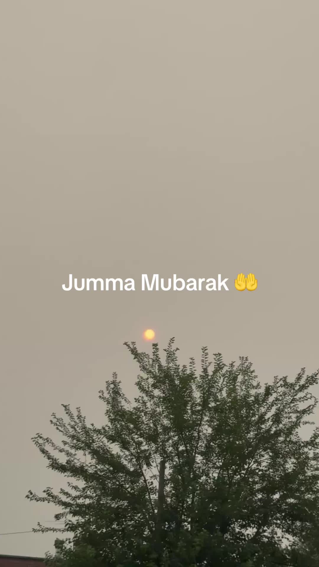 @Salma sunny 🌞