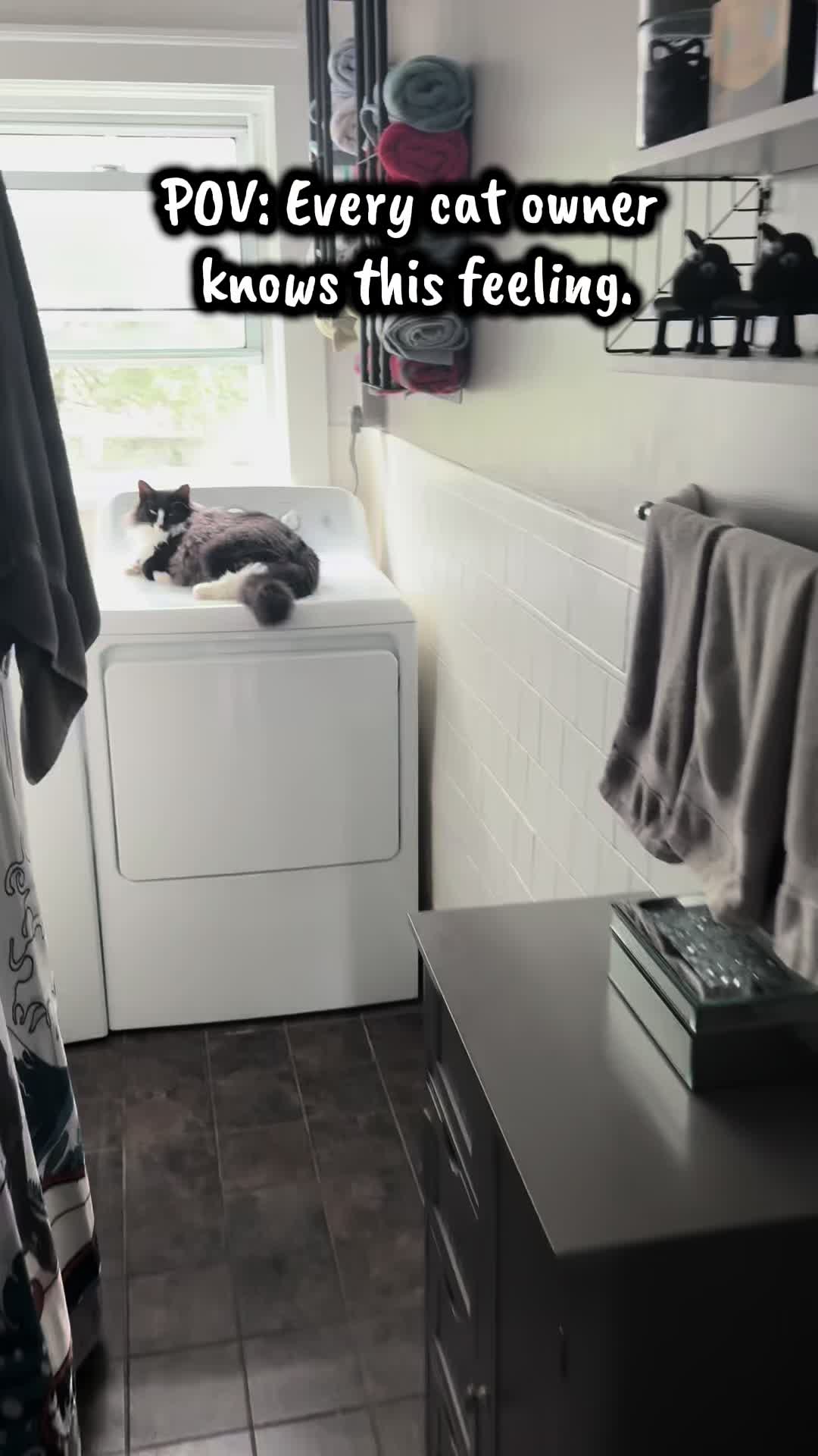 @TailsandWhiskersCo
