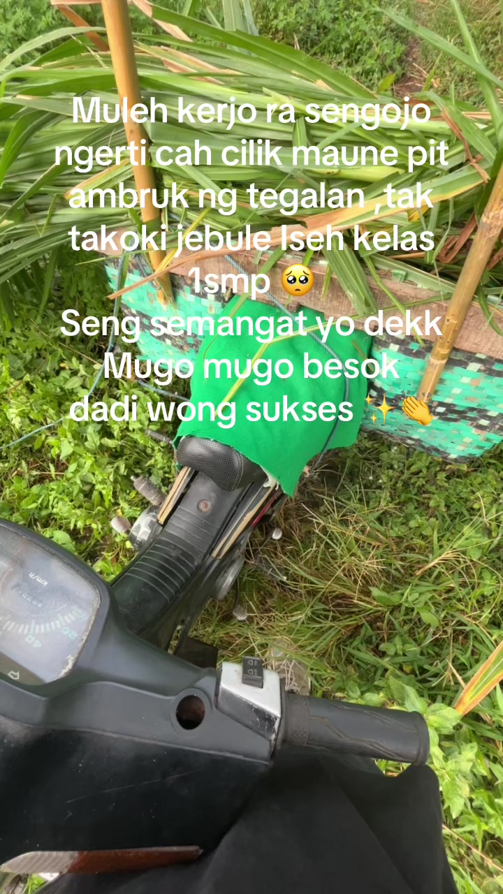 @lembu_simbah