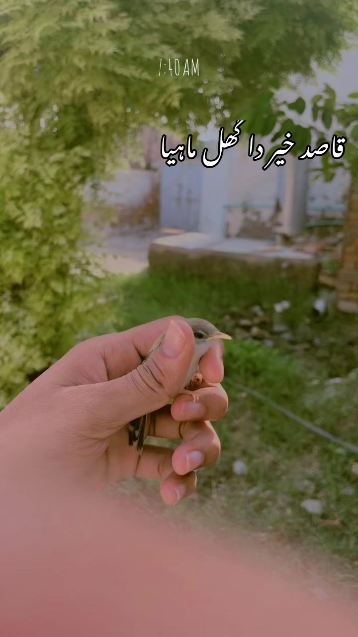 @༆🇦 🇹 🇮 🇫 🇷 🇦 🇦 🇿 ★