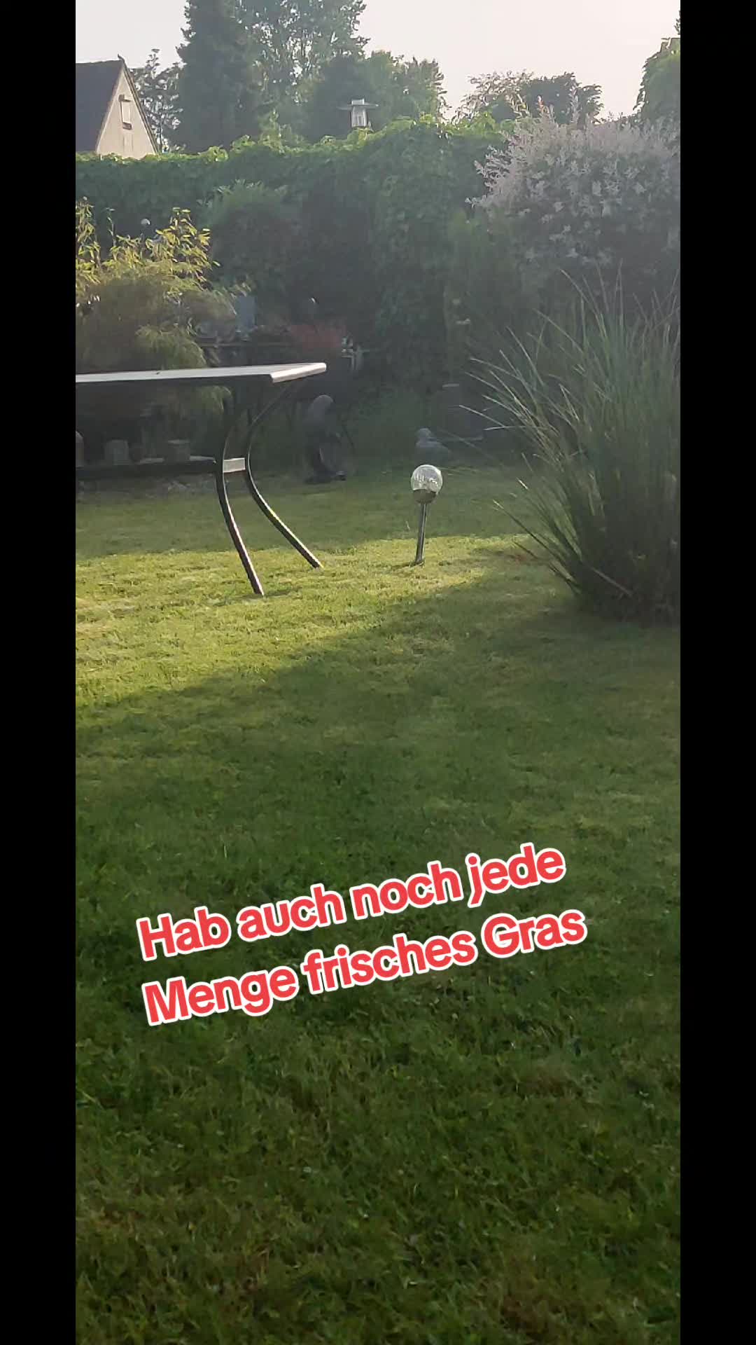 @Stephan