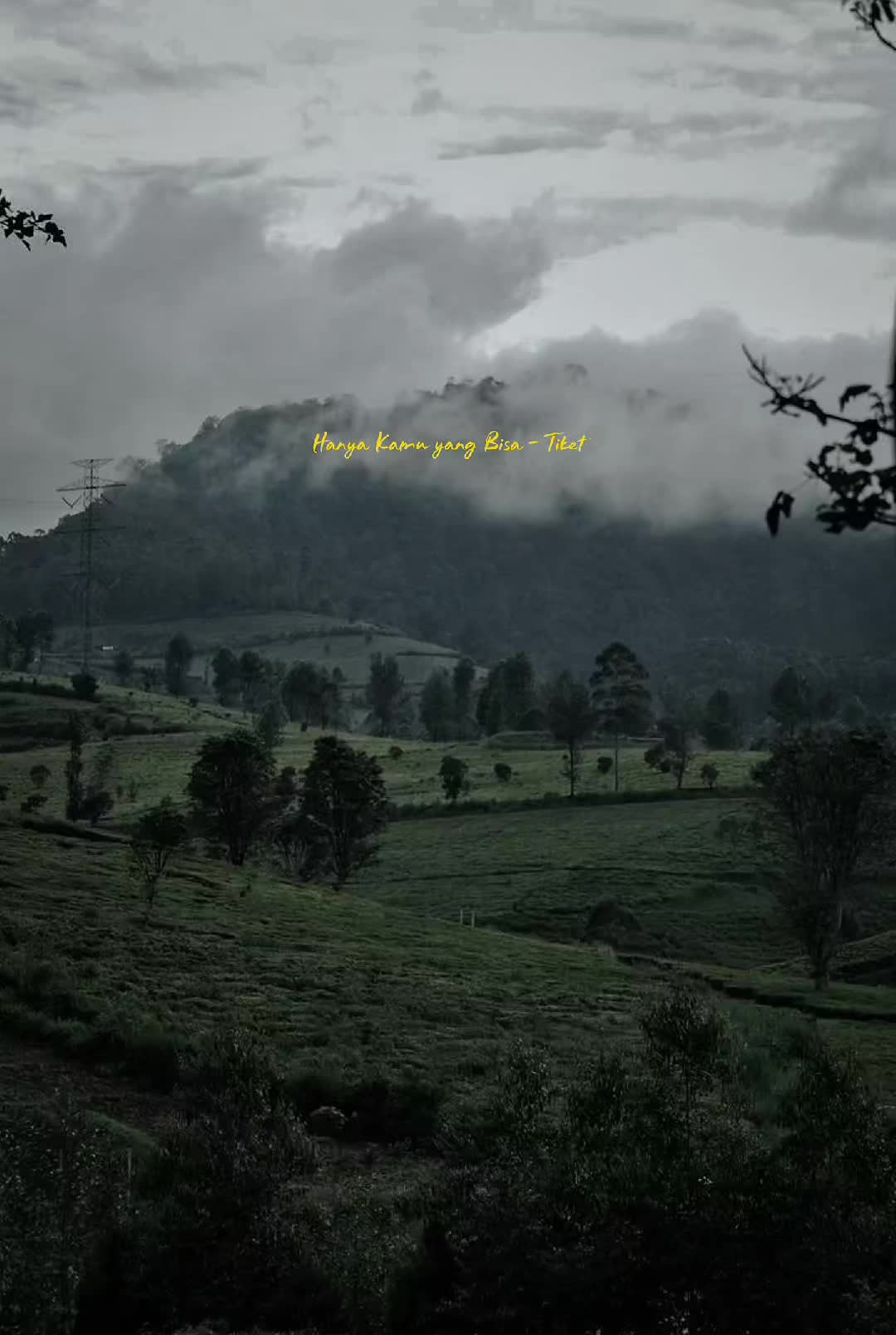 @inimusikku.id x Clip