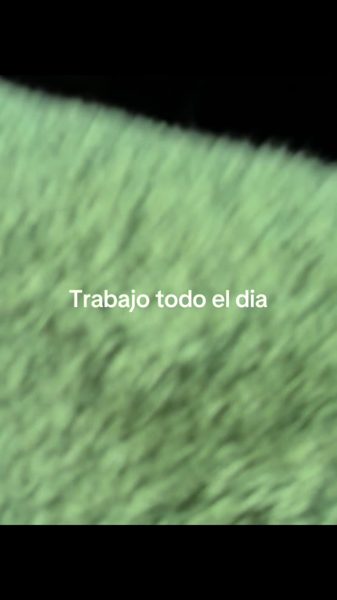 @Andrecito 🏔️