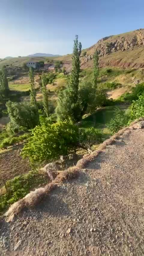 @ℋ𝒶𝓂𝓏𝒶_𝒷𝓊𝓁𝓊