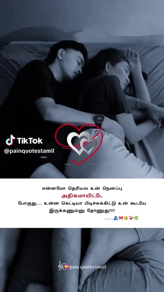 @t̸h̸a̸n̸u̸s̸h̸ 💘 k̸i̸n̸g̸🦁♚☚