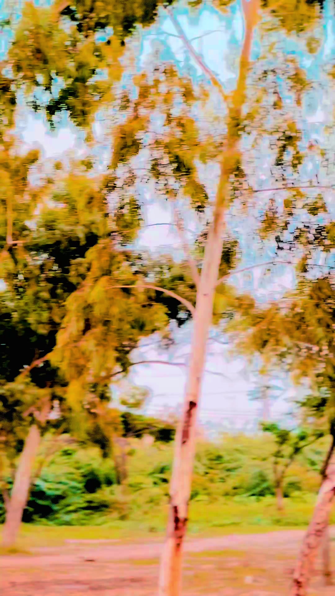 @🦅م ب ش ر🦅