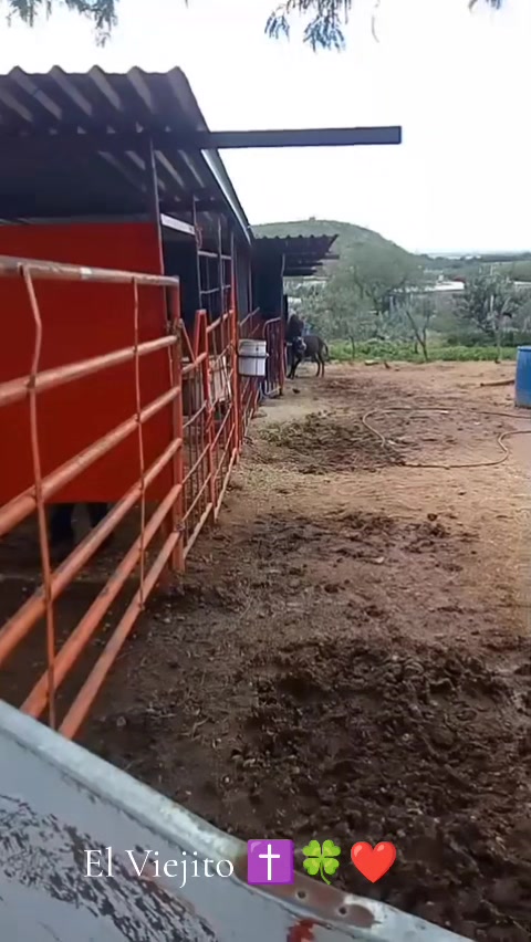 @Viejito Cordova✝️🍀❤️🐎🦅