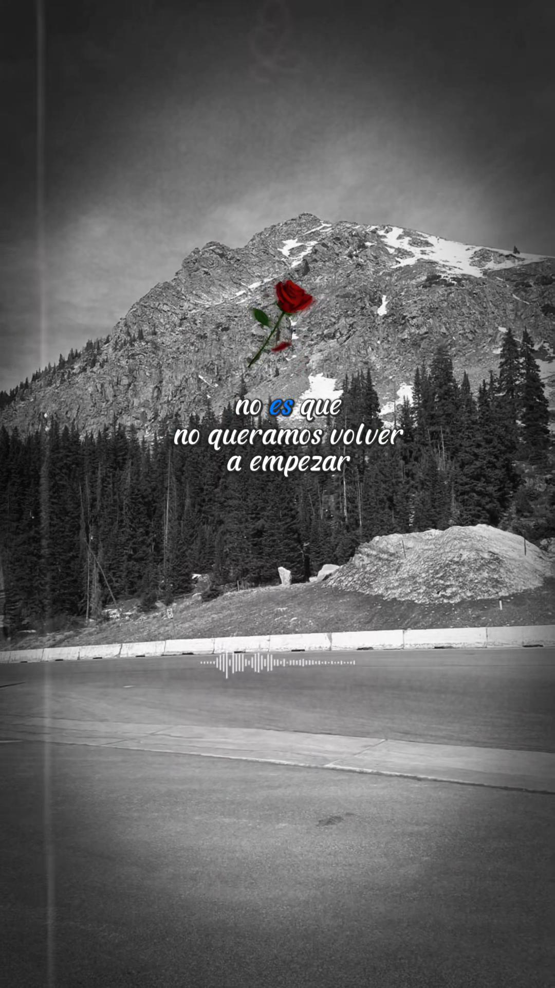 @nice_music🎧