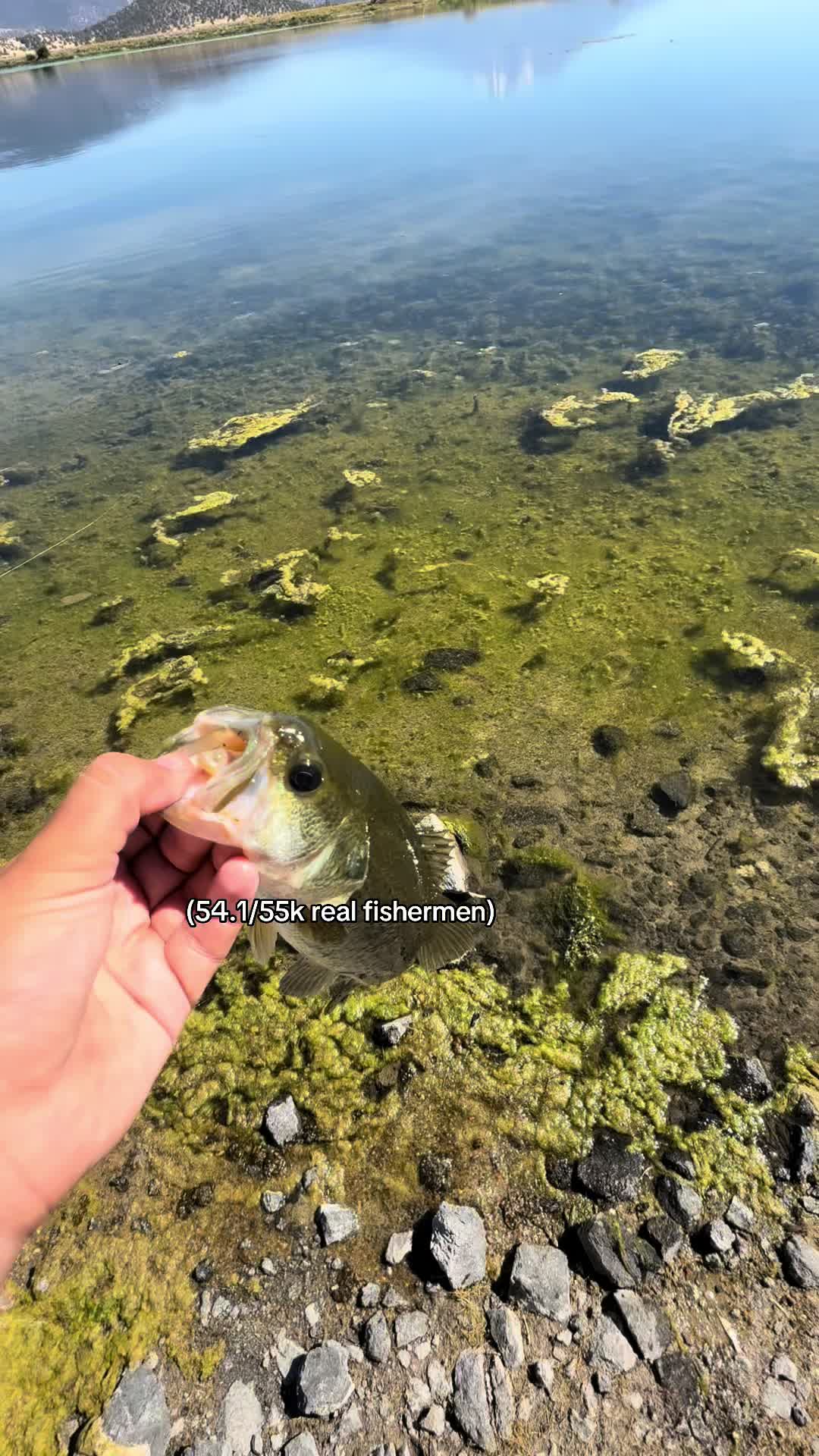 @fishingwithblake_
