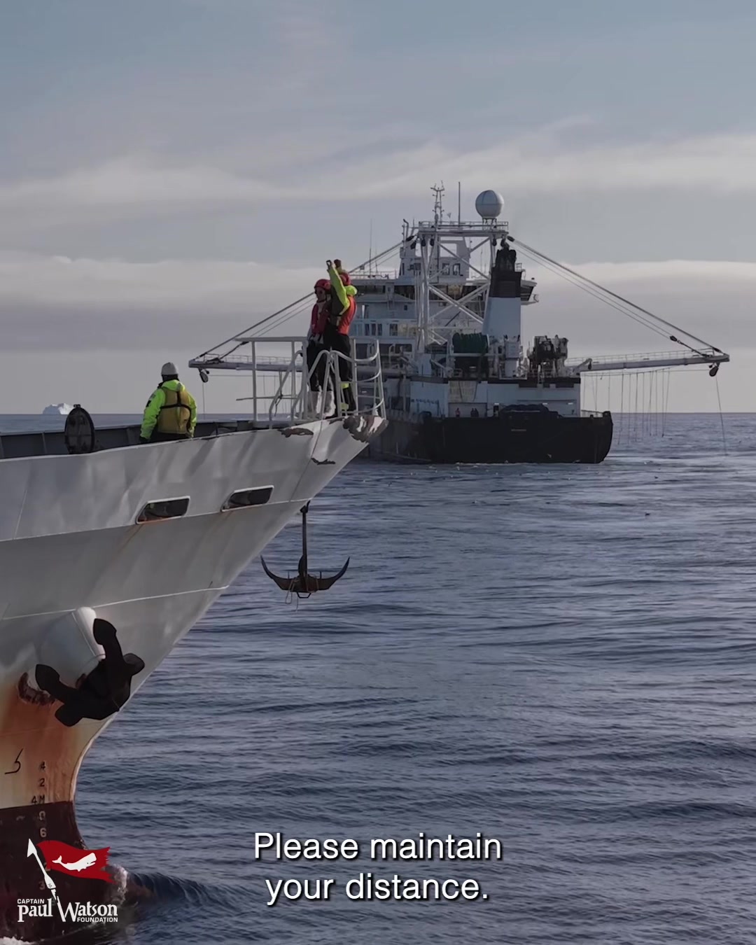 @Captain Paul Watson Foundation