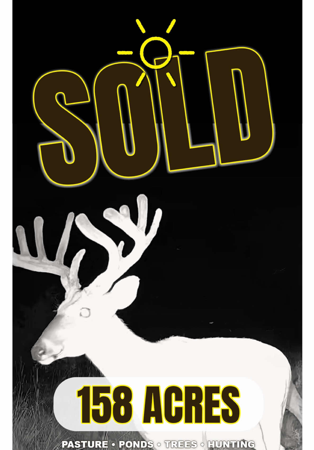 @Sundgren Realty & Auction