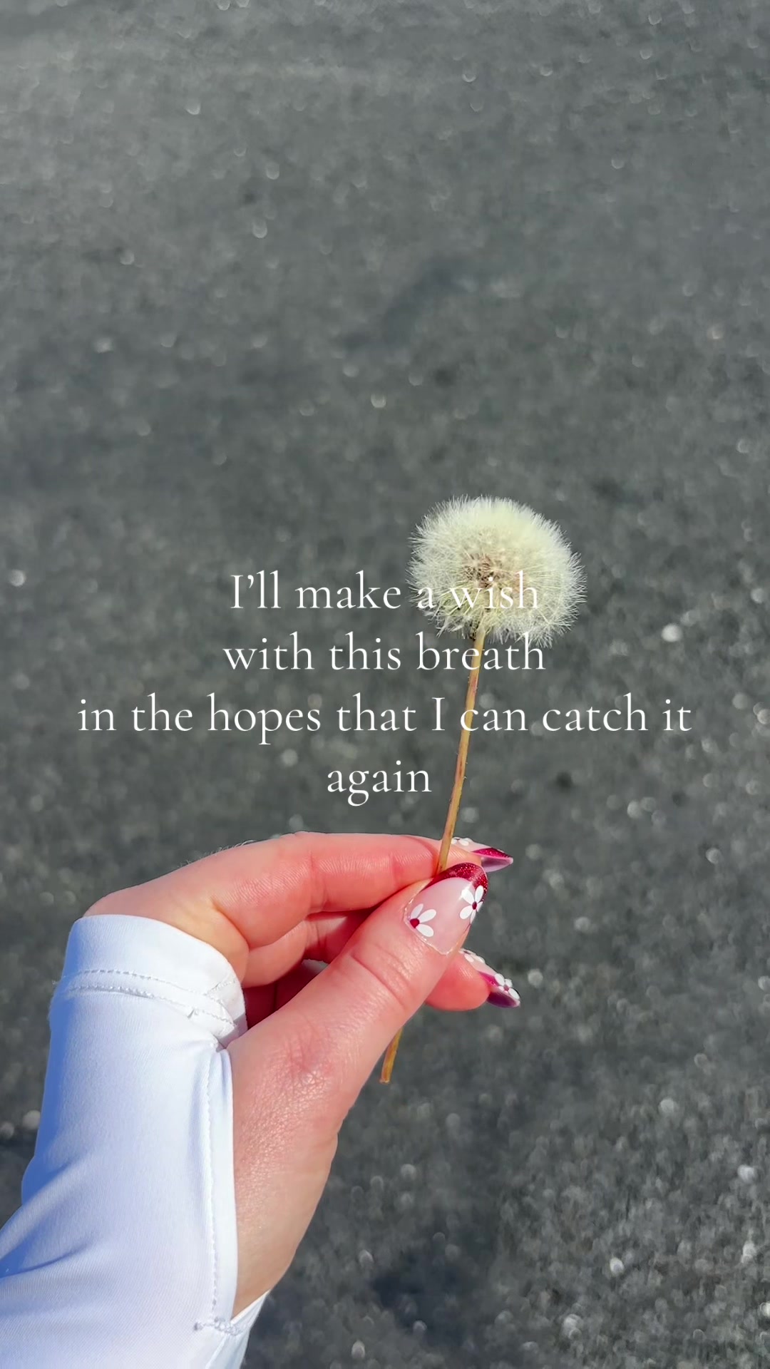 @𝓇ℯ𝓃ℯℯ ♡ ⋆｡˚ ♪