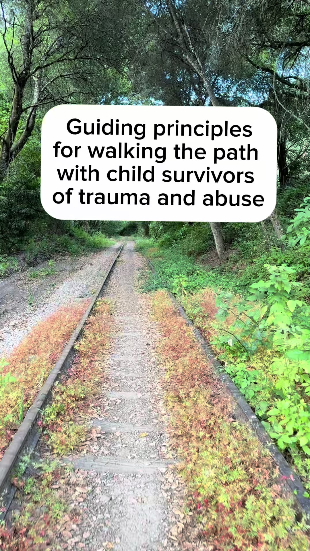 @RedwoodCenterforChildren🌲