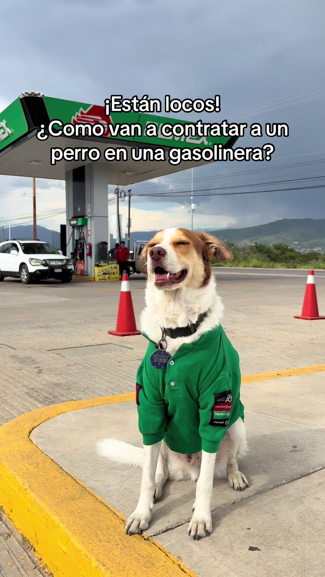 @Mailo el perro gasolinero