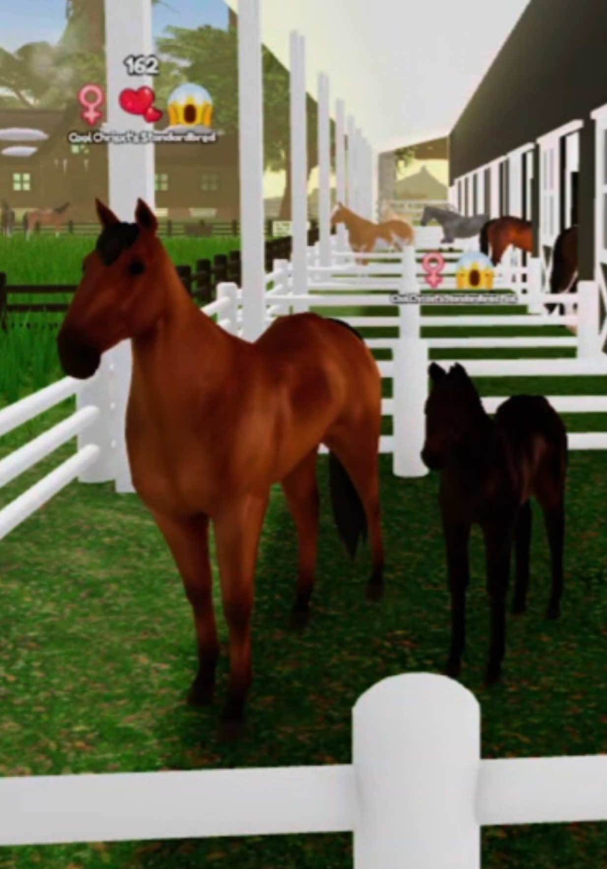 @3218stables.chris