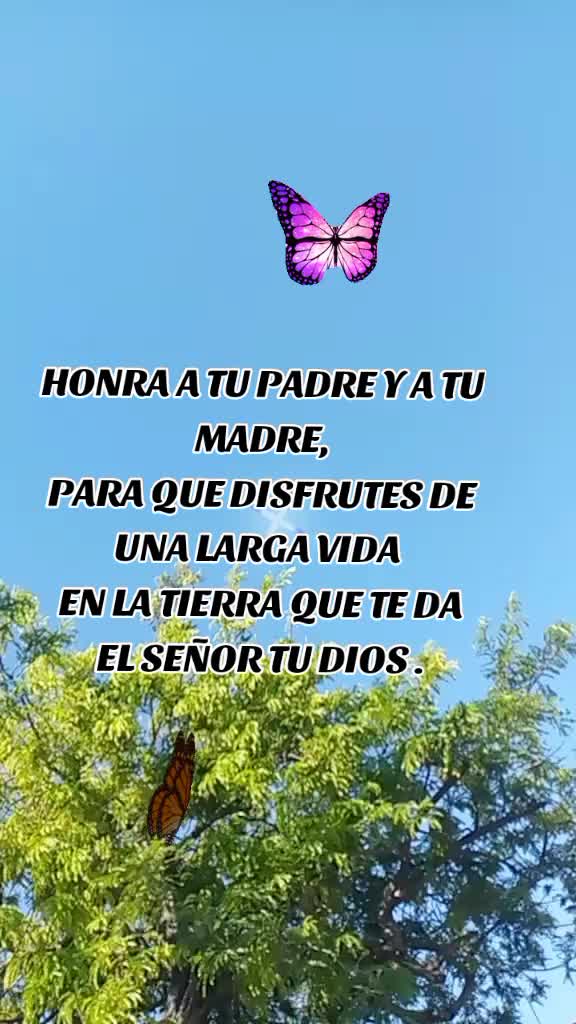 @castillo@03